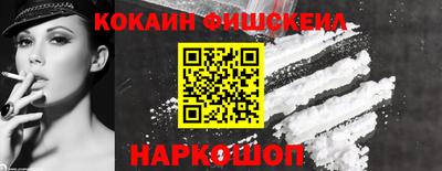 мдпв Кингисепп