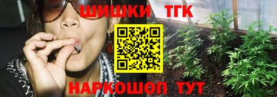 мдпв Кингисепп