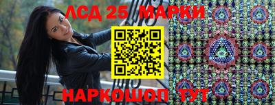 мдпв Кингисепп