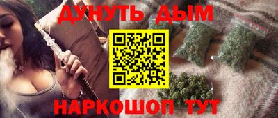 мдпв Кингисепп