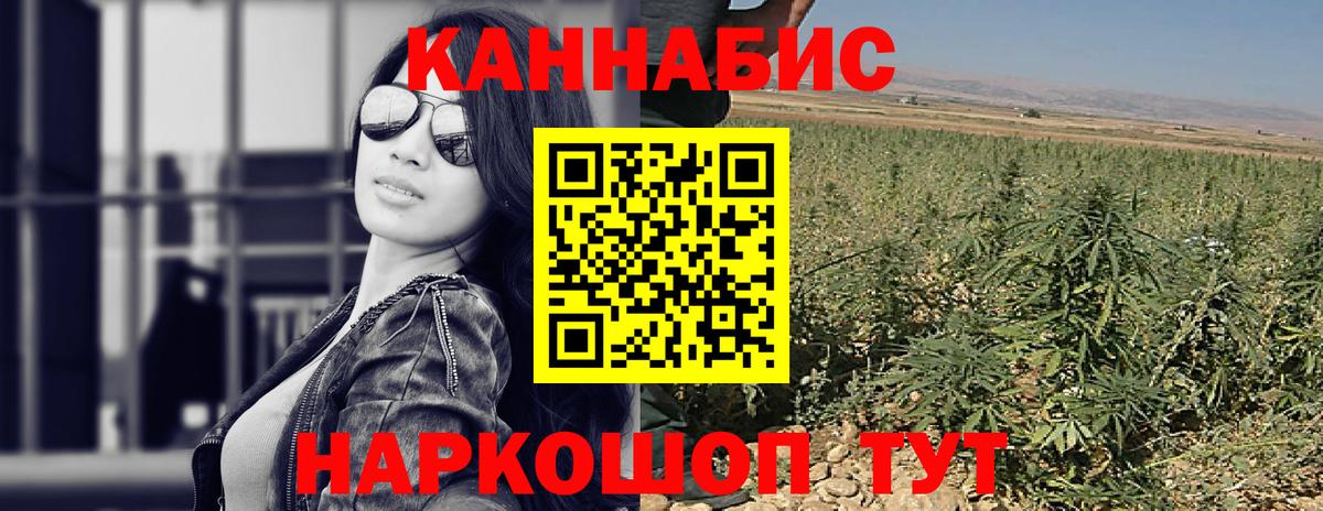 Конопля MAZAR Балтийск